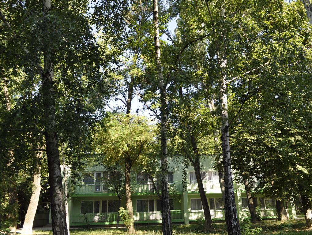 Zelenyi Kampus