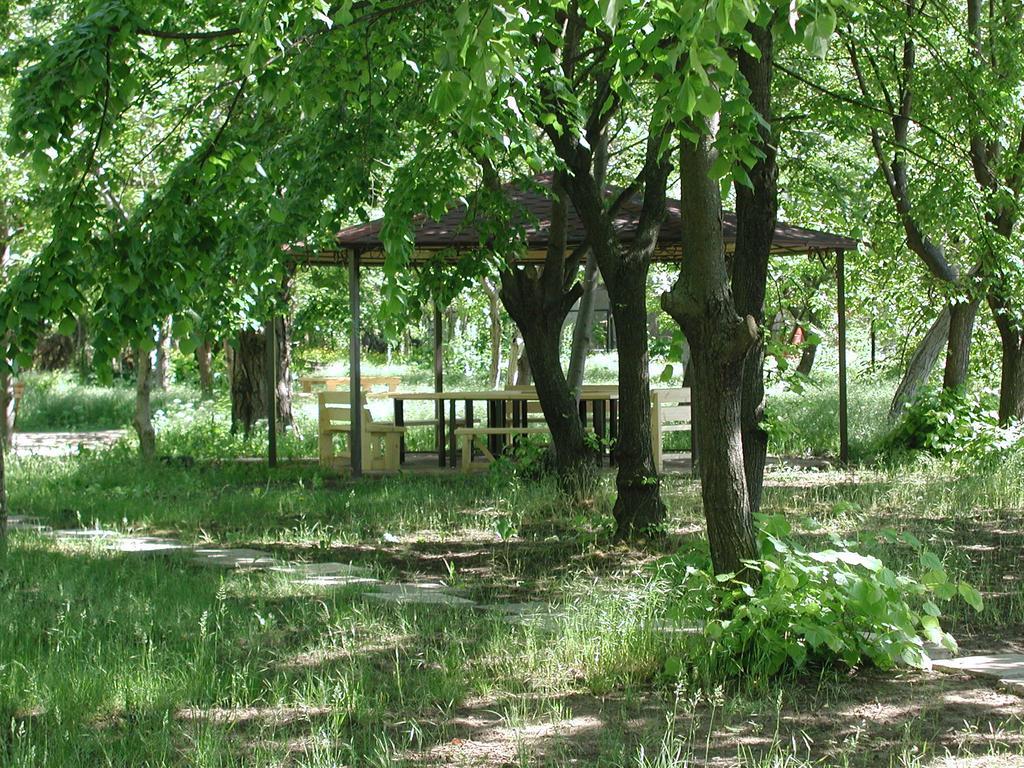 Zelenyi Kampus *